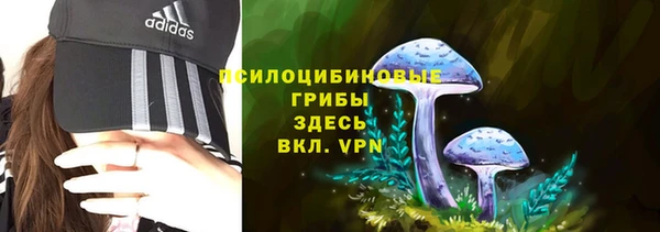 apvp Остров