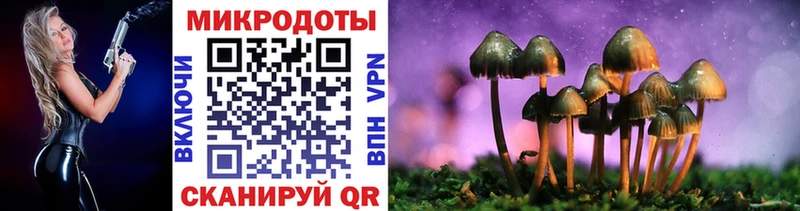 Псилоцибиновые грибы ЛСД  Удомля 