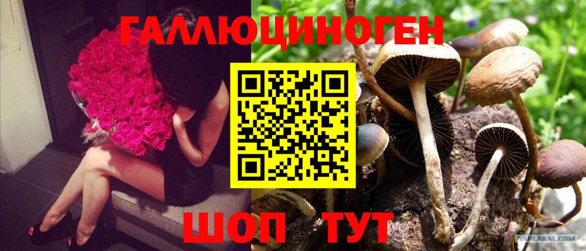 Галлюциногенные грибы мухоморы  Вход с VPN  Удомля 